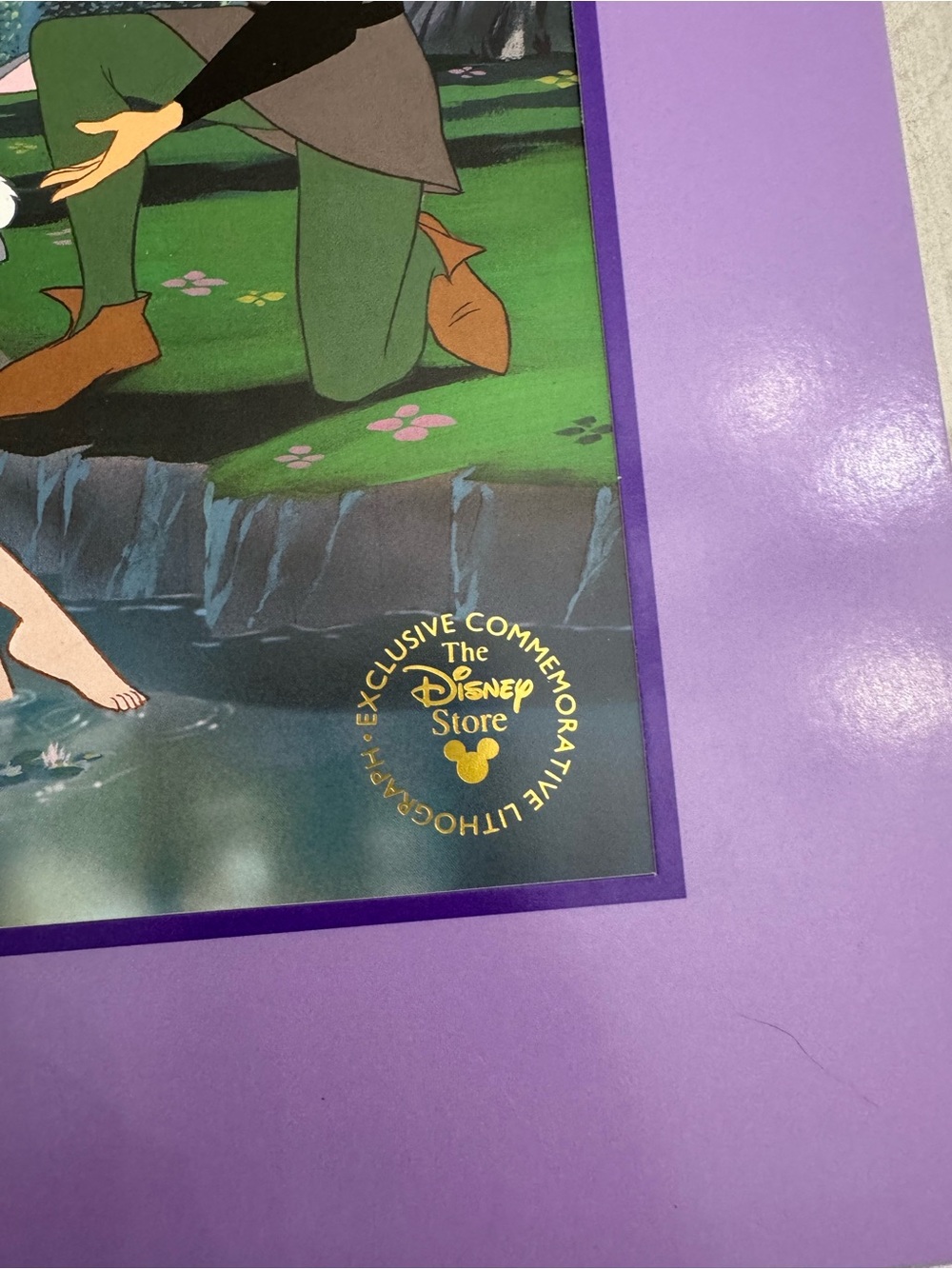 Vintage The Disney Store Sleeping Beauty 11”x 14” Commemorative Lithograph - Picture 3 of 4